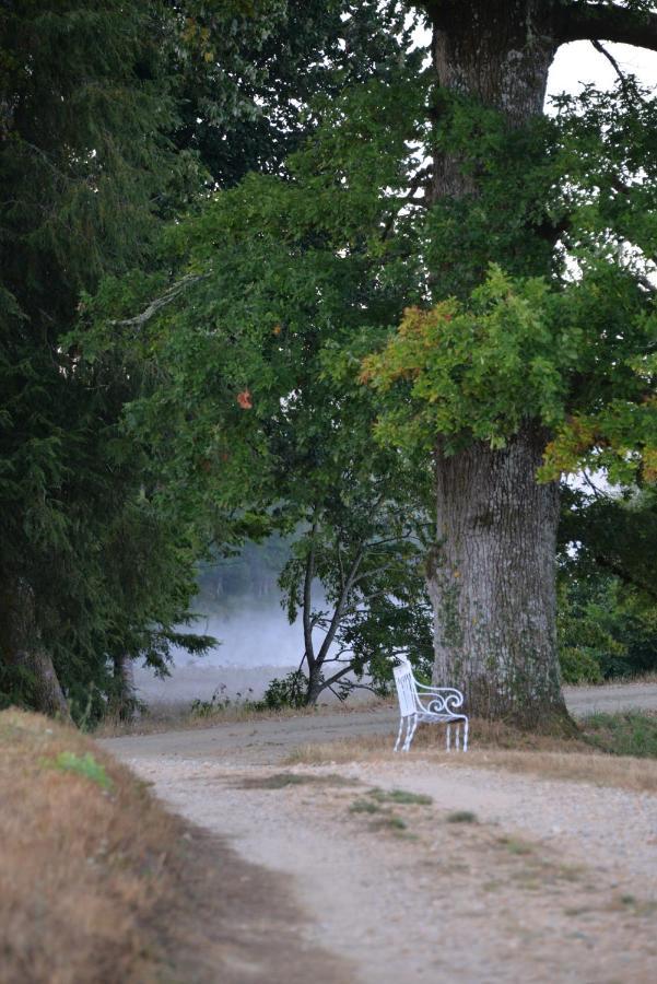Domaine De Bort Bed and Breakfast Saint-Priest-Taurion Eksteriør billede